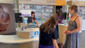 Contactez la clinique vétérinaire de la Fontaine