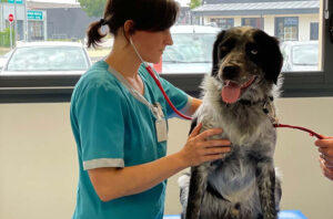 Consultations & prévention