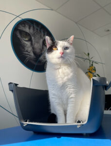 Veterinary clinic