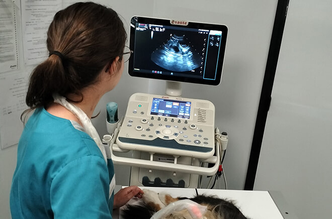 LF-Imagerie Analyses & imagerie médicale