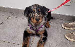 RDV - Rendez-vous en ligne