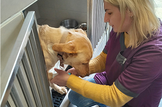 Service - hospitalisation